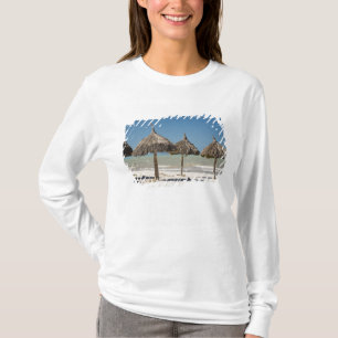 Camiseta México, Península de Yucatán, Progreso. Paja