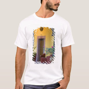 Camiseta México, San Miguel de Allende, Entrada de Arco