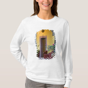 Camiseta México, San Miguel de Allende, Entrada de Arco