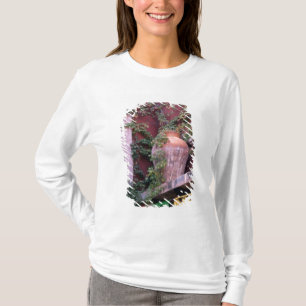 Camiseta México, San Miguel de Allende, hiedra, olla de bar