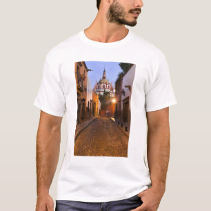 Camiseta México, San Miguel de Allende. Temprano en la maña