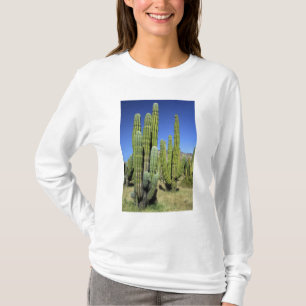 Camiseta México, Sonora, San Carlos. Saguaro y Pitahaya