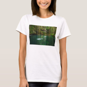 Camiseta México, Yucatán, lago escénico