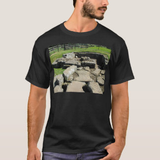 Camiseta MI 78 Rocas Y Ladrillos Dispararon 1 Pared Hadrian