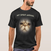 Mi animal espiritual gruñón luciendo cara de gato
