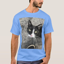 Camiseta Mi antiguo gato