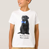 Mi hermano es Black Lab - Black Labrador Puppy Boy