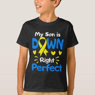 Camiseta Mi hijo es absolutamente perfecto Conciencia del s
