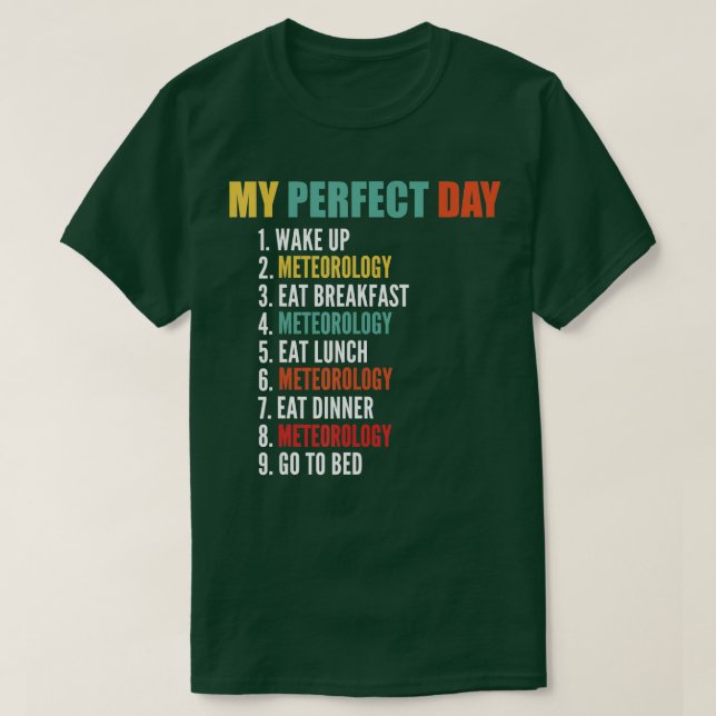 Camiseta Mi meteorología divertida de día perfecto 1 (Diseño del anverso)