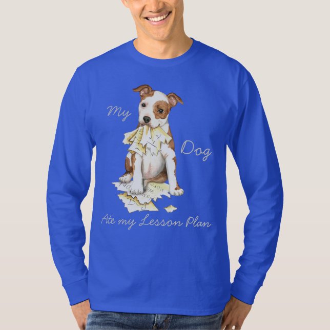 Camiseta Mi Personal De Am Se Ató A Mi Plan De Lecciones (Anverso)