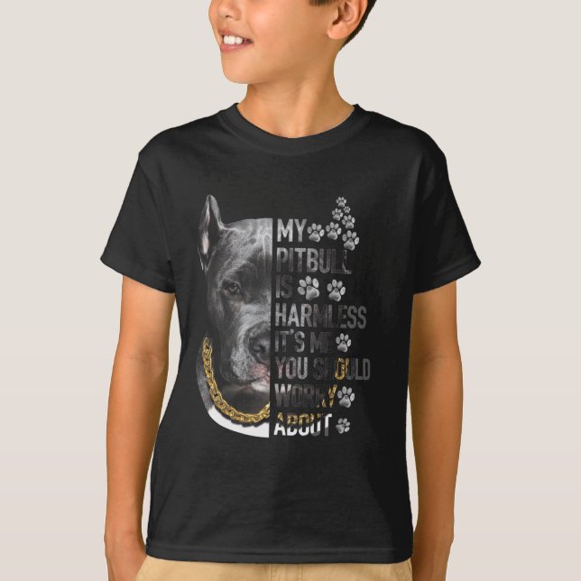 Camiseta Mi Pitbull es inofensivo. Soy yo, deberías preocup (Anverso)