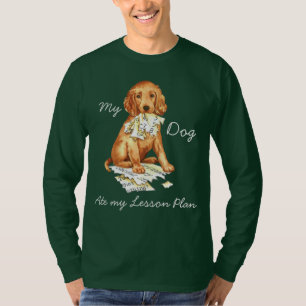 Camiseta Mi plan de clases de asidero irlandés