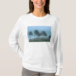 Camiseta Miami Beach, Florida, vientos de huracán azotando