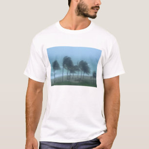 Camiseta Miami Beach, Florida, vientos huracanados azotando