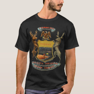 Camiseta Michigan