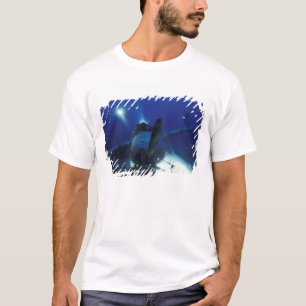 Camiseta Micronesia, Palau, Patrimonio de la Humanidad. Buz