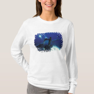 Camiseta Micronesia, Palau, Patrimonio de la Humanidad. Buz