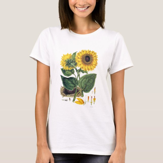 Camiseta Miller: Girasol (Anverso)