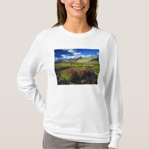 Camiseta Mimulus de Logan Pass en Glacier National