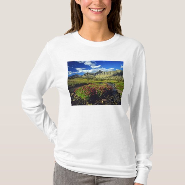 Camiseta Mimulus de Logan Pass en Glacier National (Anverso)