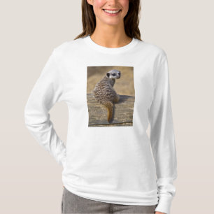 Camiseta Mini Kat Tee