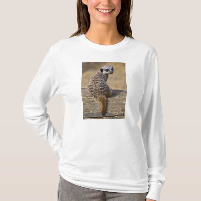 Camiseta Mini Kat Tee (Anverso)