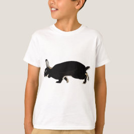Camiseta Mini Rex Rabbit - hop
