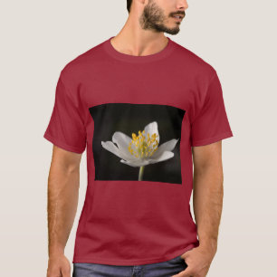 Camiseta minimalista de naturaleza Derweg