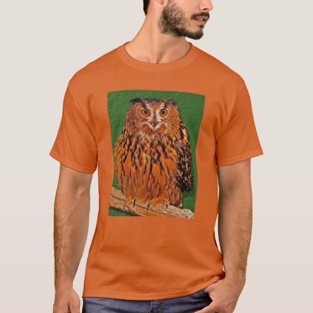 Camiseta Mirada del búho (Anverso)