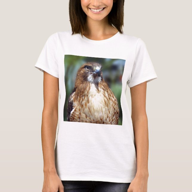 Camiseta Mirada del Falcom (Anverso)