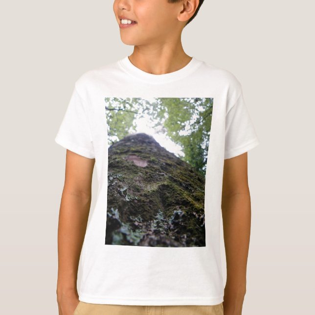 Camiseta Mirada para arriba del Kauri (Anverso)