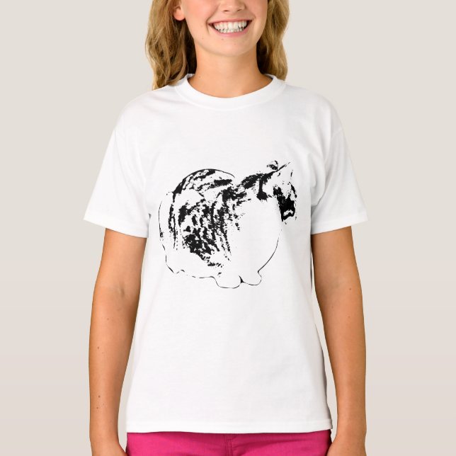 Camiseta Mirar más allá de la habitación (Anverso)