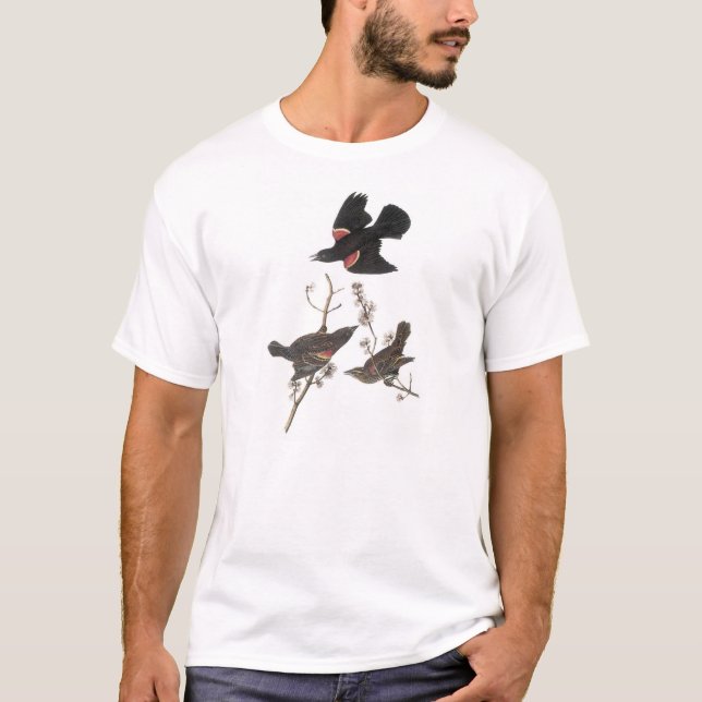 Camiseta Mirlo de alas rojas por Audubon (Anverso)