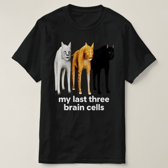 Camiseta Mis tres últimas células cerebrales Gats Meme Burn (Diseño del anverso)