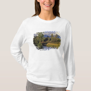 Camiseta Mission Creek atraviesa el National Bison