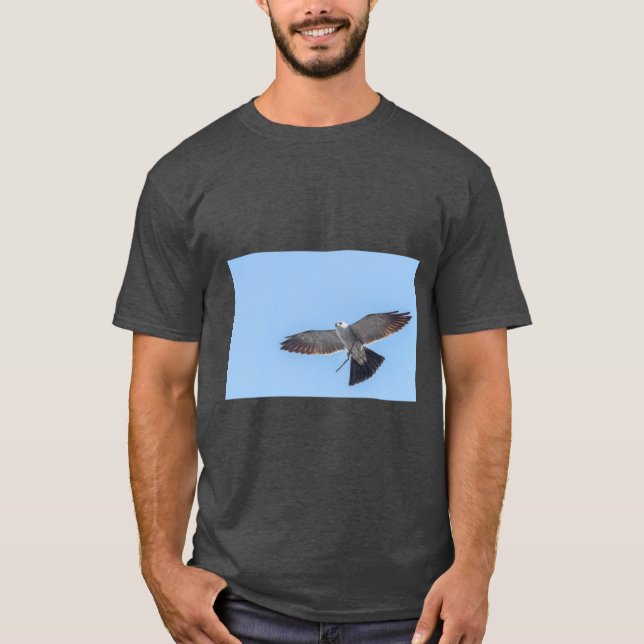 Camiseta Mississippi kite Oversized (Anverso)