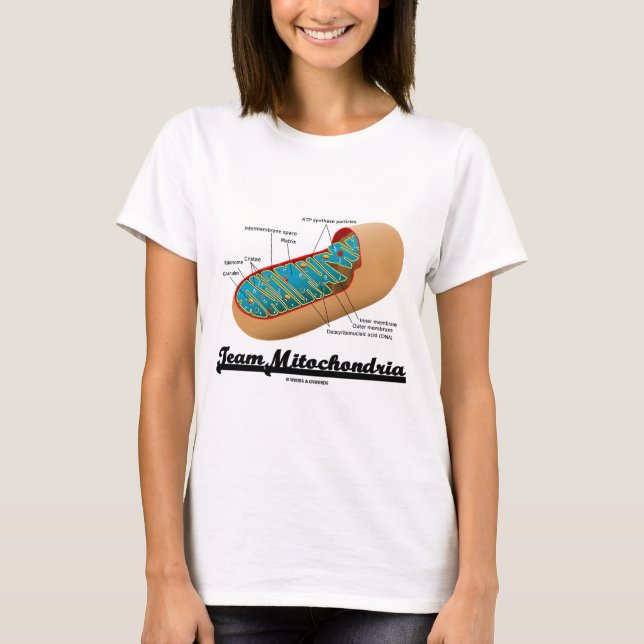 Camiseta Mitocondrias del equipo (humor de Mitochondrion) (Anverso)