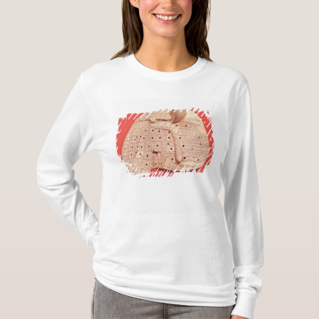 Camiseta Modelo del hígado de una oveja (Anverso)
