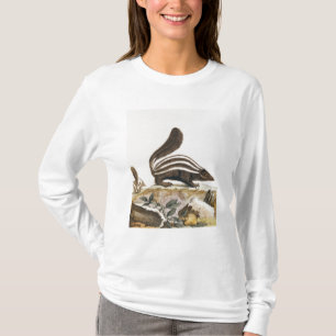 Camiseta Mofeta, de "Histoire Naturelle" cerca