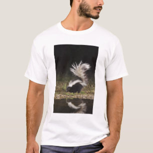 Camiseta Mofeta rayada, Mephitis mephitis