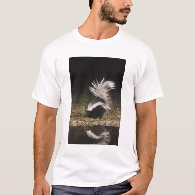 Camiseta Mofeta rayada, Mephitis mephitis (Anverso)