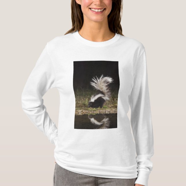 Camiseta Mofeta rayada, Mephitis mephitis (Anverso)