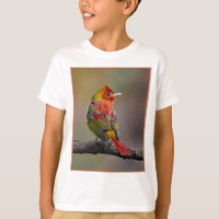 Moldura de Tanager de escarlata - Fotografía origi