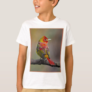 Camiseta Moldura de Tanager de escarlata - Fotografía origi