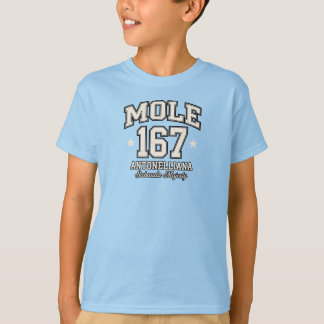 Camiseta Mole Antonelliana - Majestad Sabauda Vintage Varsi