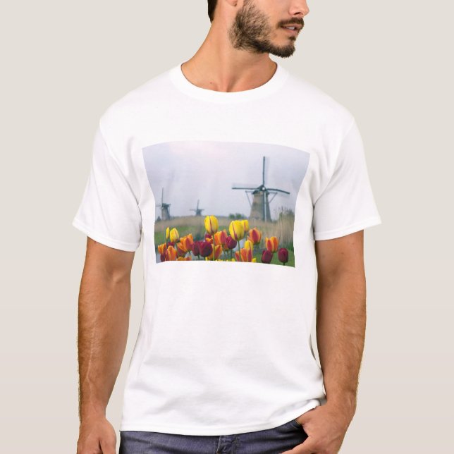 Camiseta Molinos de viento y tulipanes a lo largo del canal (Anverso)