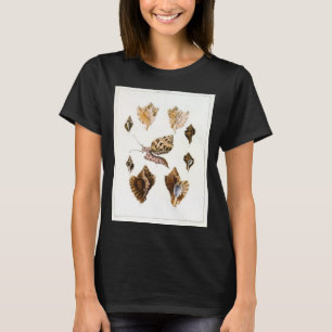 Camiseta Moluscos y caracoles, organismos de la vida marina
