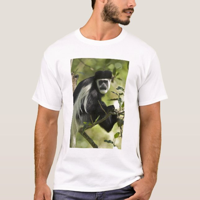 Camiseta Mono Colobo Negro y Blanco (Anverso)