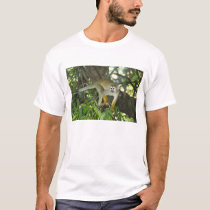 Camiseta Mono de ardilla común, (Saimiri sciureus), Río