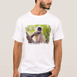 Camiseta Mono en la selva del Parque Nacional de Ranthambor